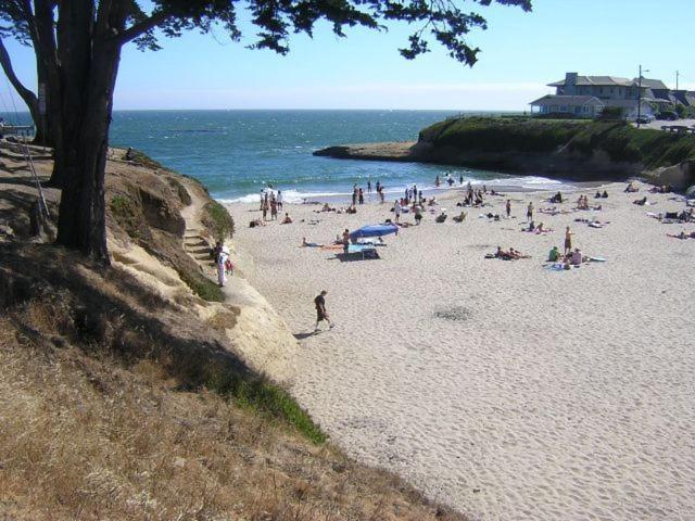 Sunny Cove Motel Capitola Εξωτερικό φωτογραφία